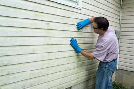 Best Custom Trim and Detailing for Siding  in USA